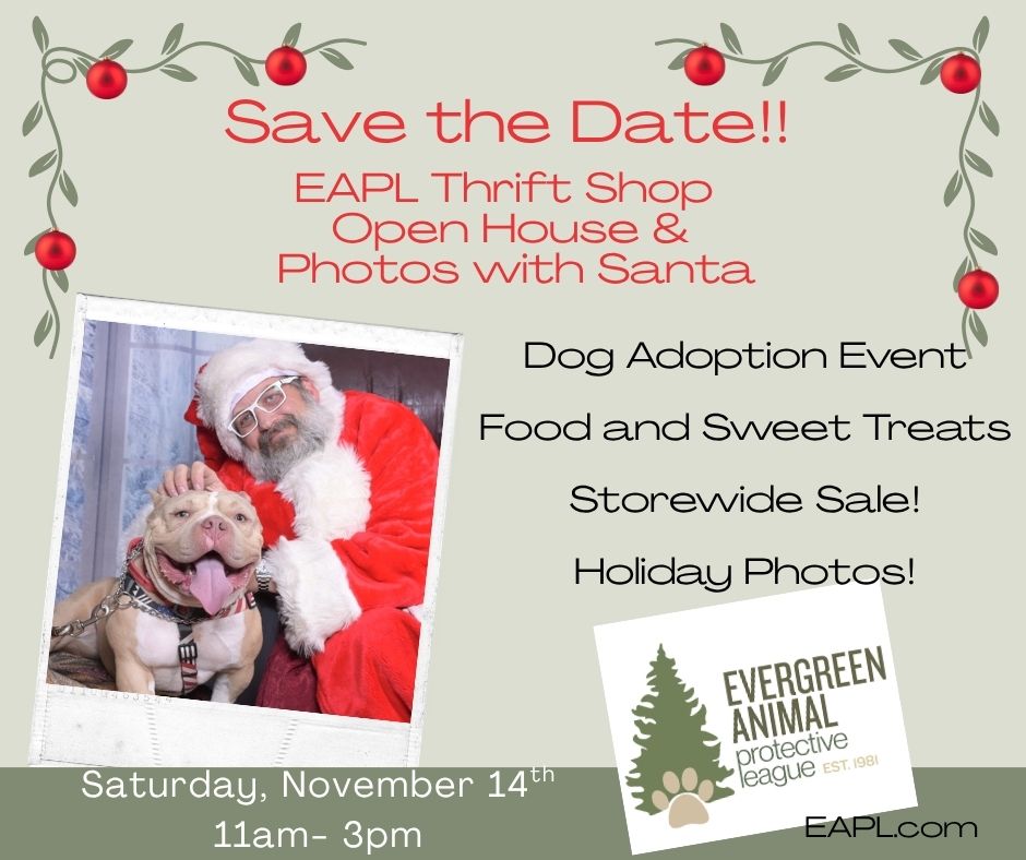 Thrift Shop Santa Photos